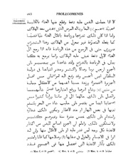 الصفحة التالية &larr;