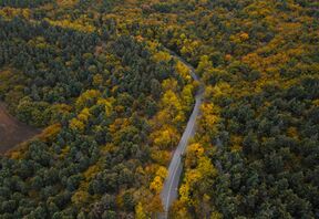 3615554 تصاویر هوایی جاده های پاییزی جنگل های هیرکانی.jpg