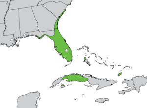 Native range of Sabal palmetto.png