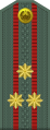 Polkovnik[23] (Uzbek Ground Forces)