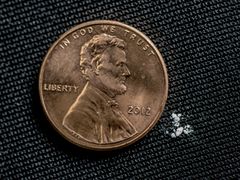 Fentanyl. 2 mg. A lethal dose in most people.[12]