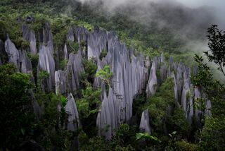 Mulu Pinnacles.jpg