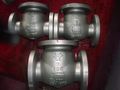 Hastelloy check valves