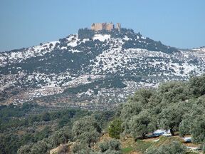 قلعة الربض.jpg