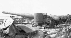 cannon in profile facing left with ocean in the background.