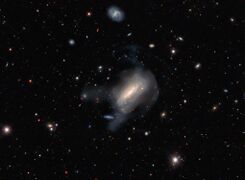 تستضيف خصلة برنيس المجرة NGC 4495 ضمن عدد لا يحصى من الأجرام الفلكية الأخرى.