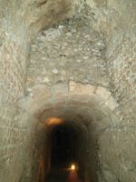 Amphi Tours vomit.jpg