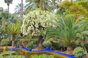 حدائق ماجوريل