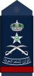 16.RSAF-LG.svg