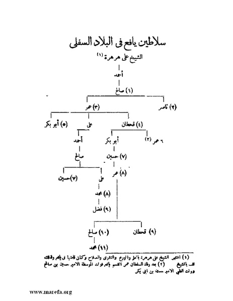 ملف:تاريخ حضرموت السياسي - ج 1.pdf