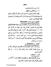 الصفحة التالية &larr;