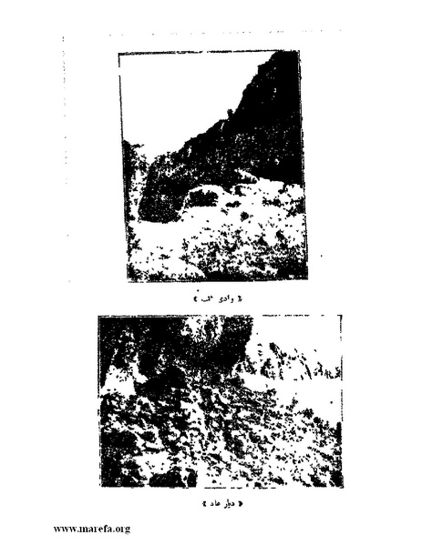 ملف:تاريخ حضرموت السياسي - ج 1.pdf