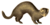 European polecat