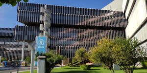 World Food Programme.jpg