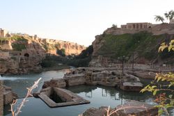 Carskie melynici 2.JPG