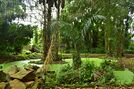 Jardin des plantees et de la nature de Porto Novo 09.jpg