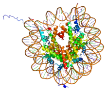 Protein H2AFJ PDB 1aoi.png