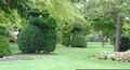 Topiary Park