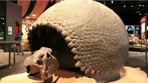 Glyptodon11.jpg