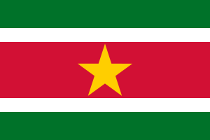 Flag of Suriname.svg