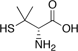 Penicillamine structure.png