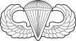 United States Air Force Parachutist Badge.svg