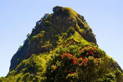 Waitakere Piha n.jpg