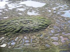 Patterned ground: a melting pingo with surrounding ice wedge polygons near Tuktoyaktuk, Canada