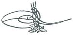 Tughra of Suleiman II.JPG