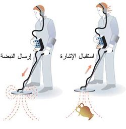 ( ب ) كاشف معادن ذات تحريض نبضي.jpg