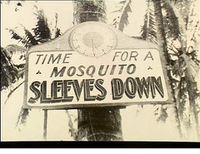 ميدان سباق الخيل، مصر الجديدة، القاهرة، 1941.