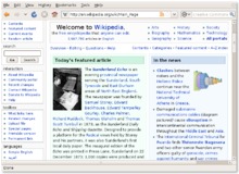 Mozilla Firefox 3.0 in Ubuntu.png