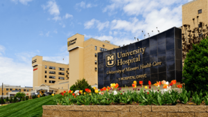 800x450 University-Hospital-Spring01-1 0.png