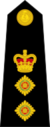 Colonel