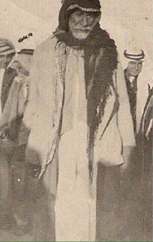 فيصل الباشا.jpg