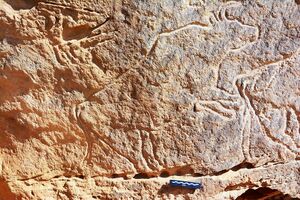 نقوش على الحجر في قورتة لحيوانات الأرخص.jpg