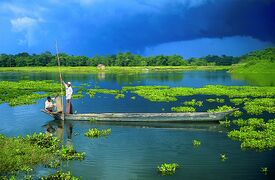 Majuli Island.jpg