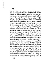 الصفحة التالية &larr;