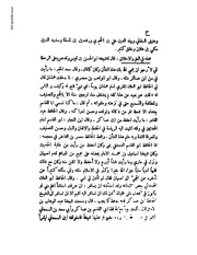 الصفحة التالية &larr;