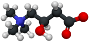 Carnitine-3D-structure.png