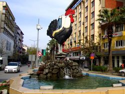 دنيزلي هوروزو في چينار