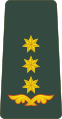 პოლკოვნიკი P’olk’ovnik’i[8] (Georgian Land Forces)