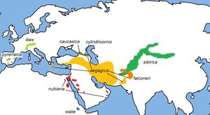 Capra range map2.jpg