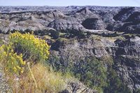 Theodore Roosevelt National Park.jpg