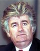 Evstafiev-Radovan Karadzic 3MAR94.jpg