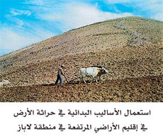 حراثة الأرض في لاباز.jpg