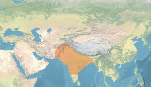 Gupta Empire map.png