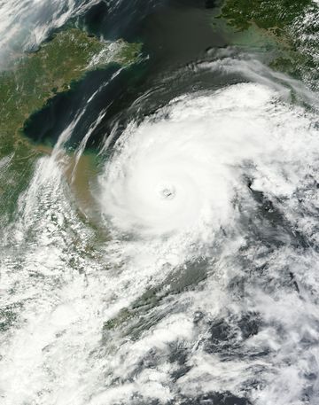 Damrey Aug 02 2012.jpg