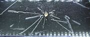 Radioactivity of a thorite mineral seen in a cloud chamber