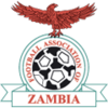 Shirt badge/Association crest